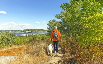 Senior Life Insurance Coverage in Fort Collins, CO